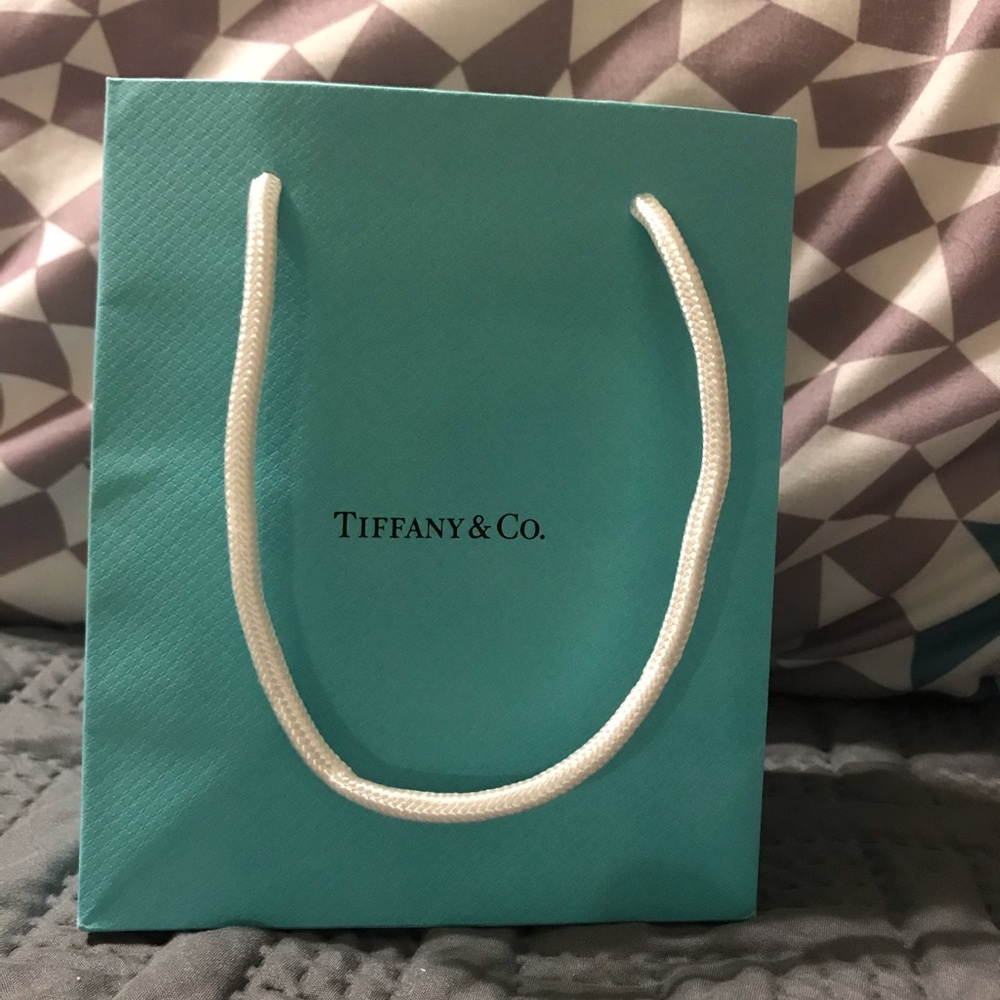 Tiffany & Co. Small Gift Bag